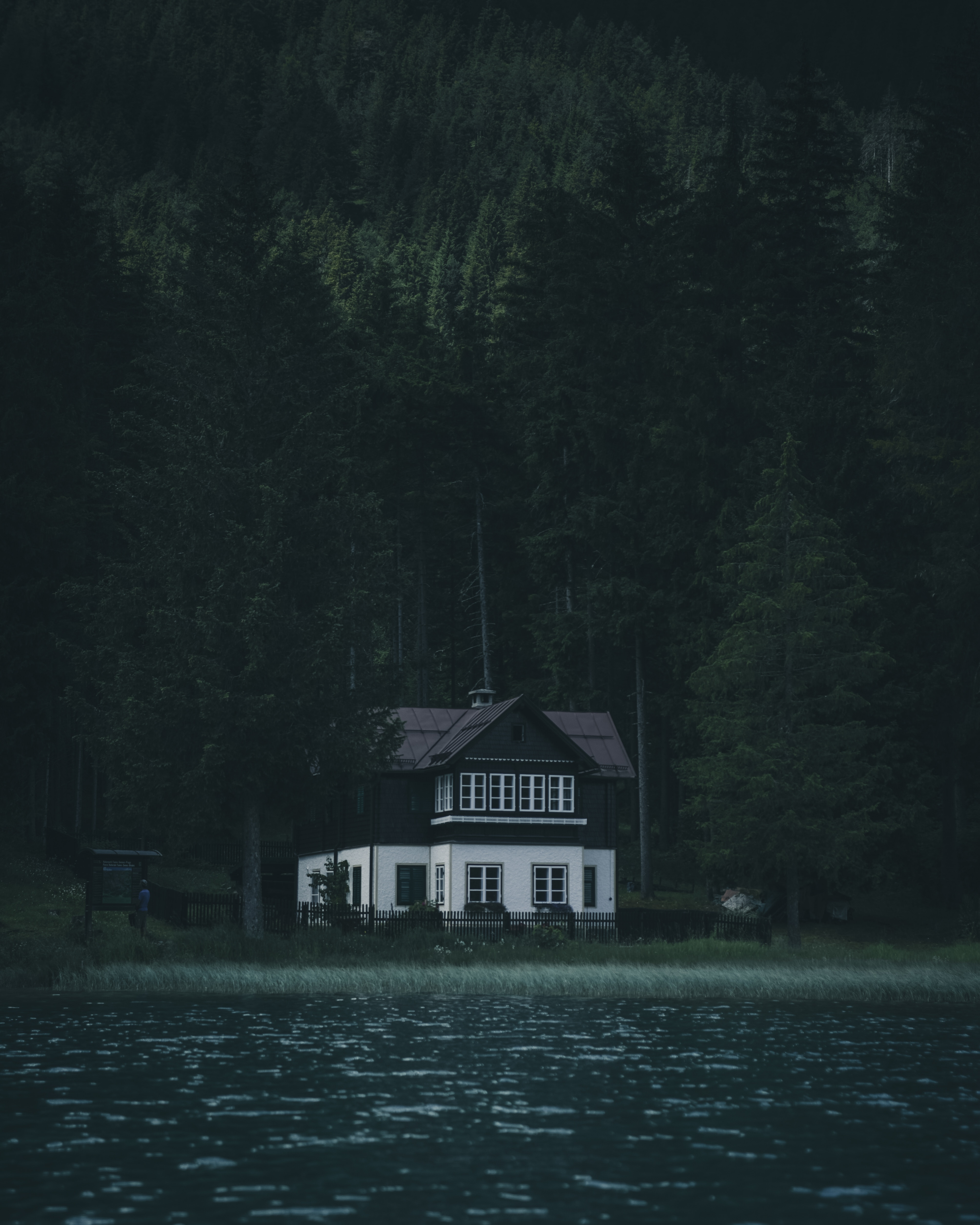 Download Silence wallpaper