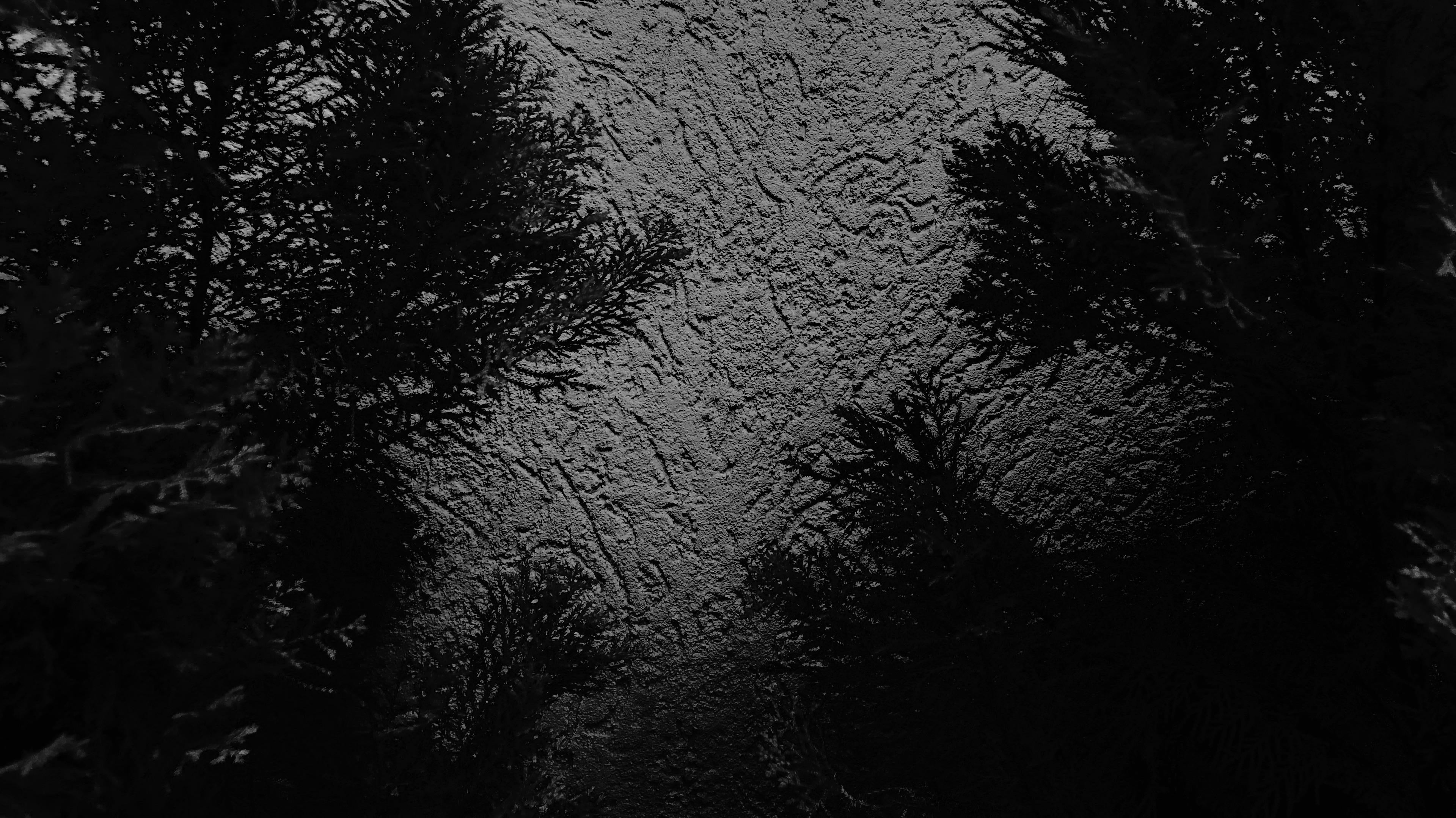 Silence 4K wallpaper for your desktop