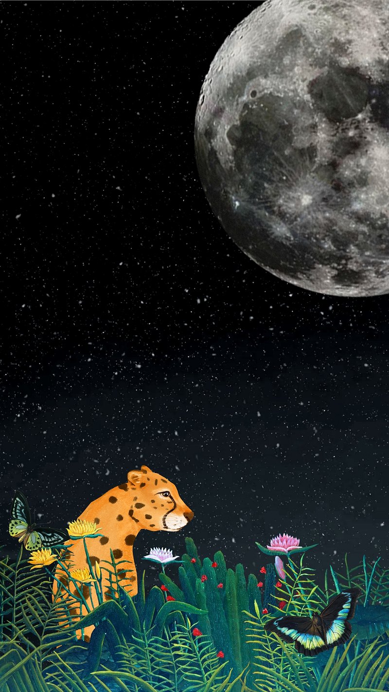 Santa sleigh border iPhone wallpaper