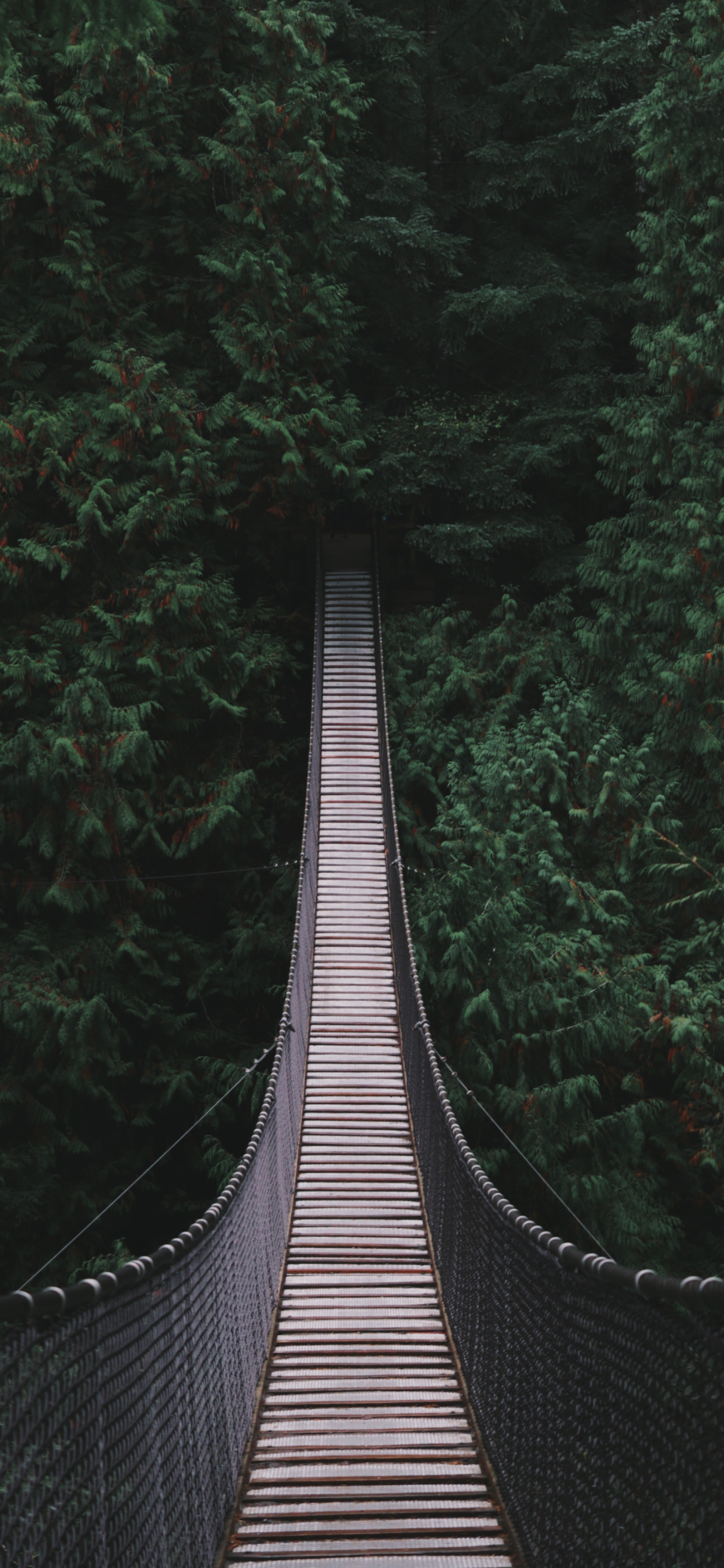 Bridge Wallpaper for iPhone 11, Pro Max
