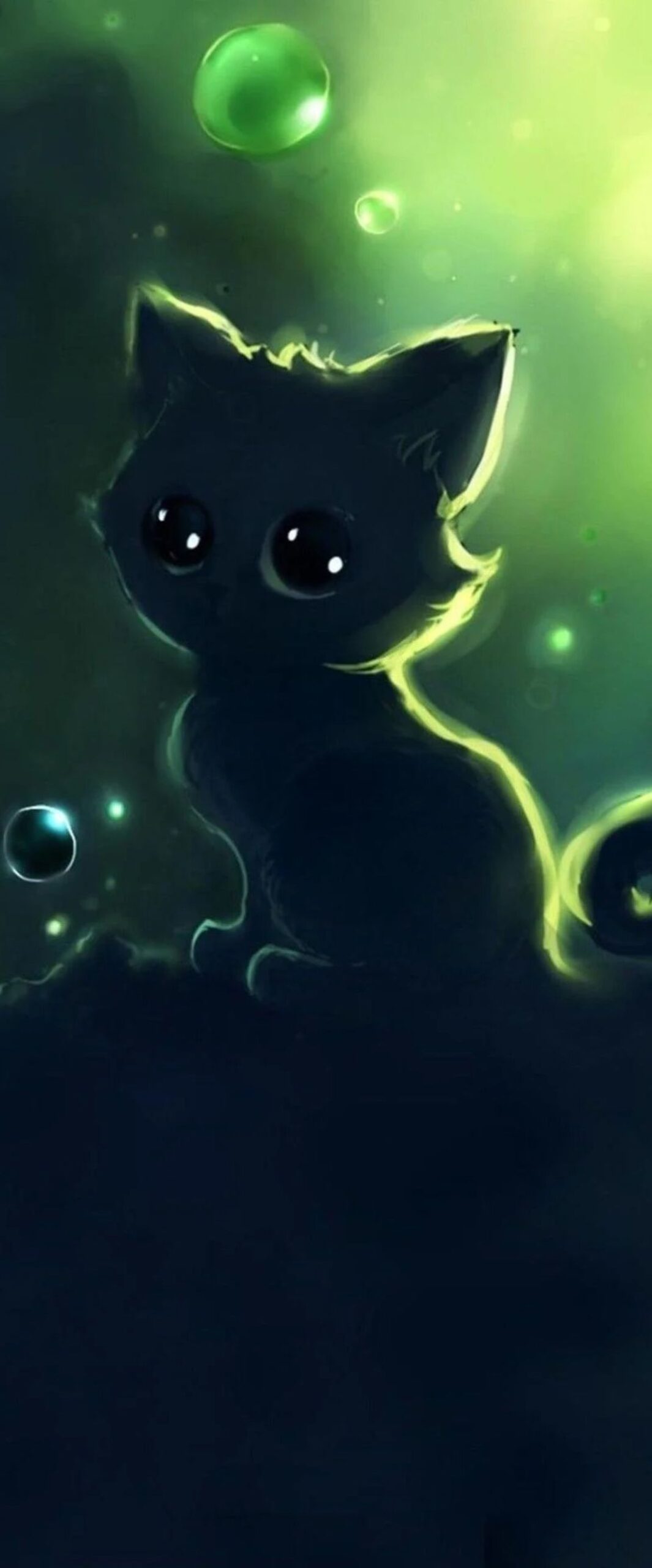 Kawaii Cat iPhone Wallpaper 4k