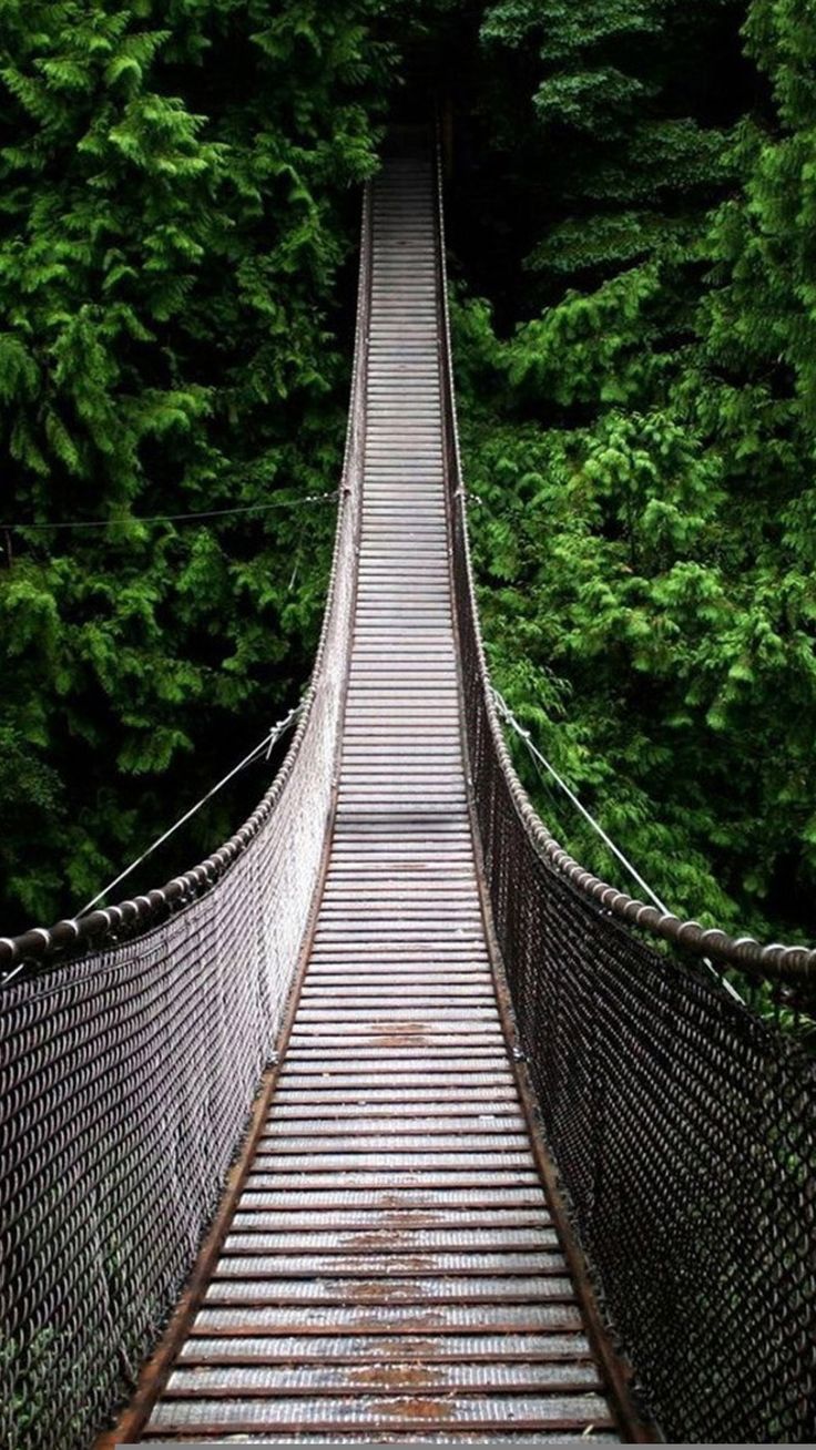 Nature Long Suspension Bridge Over