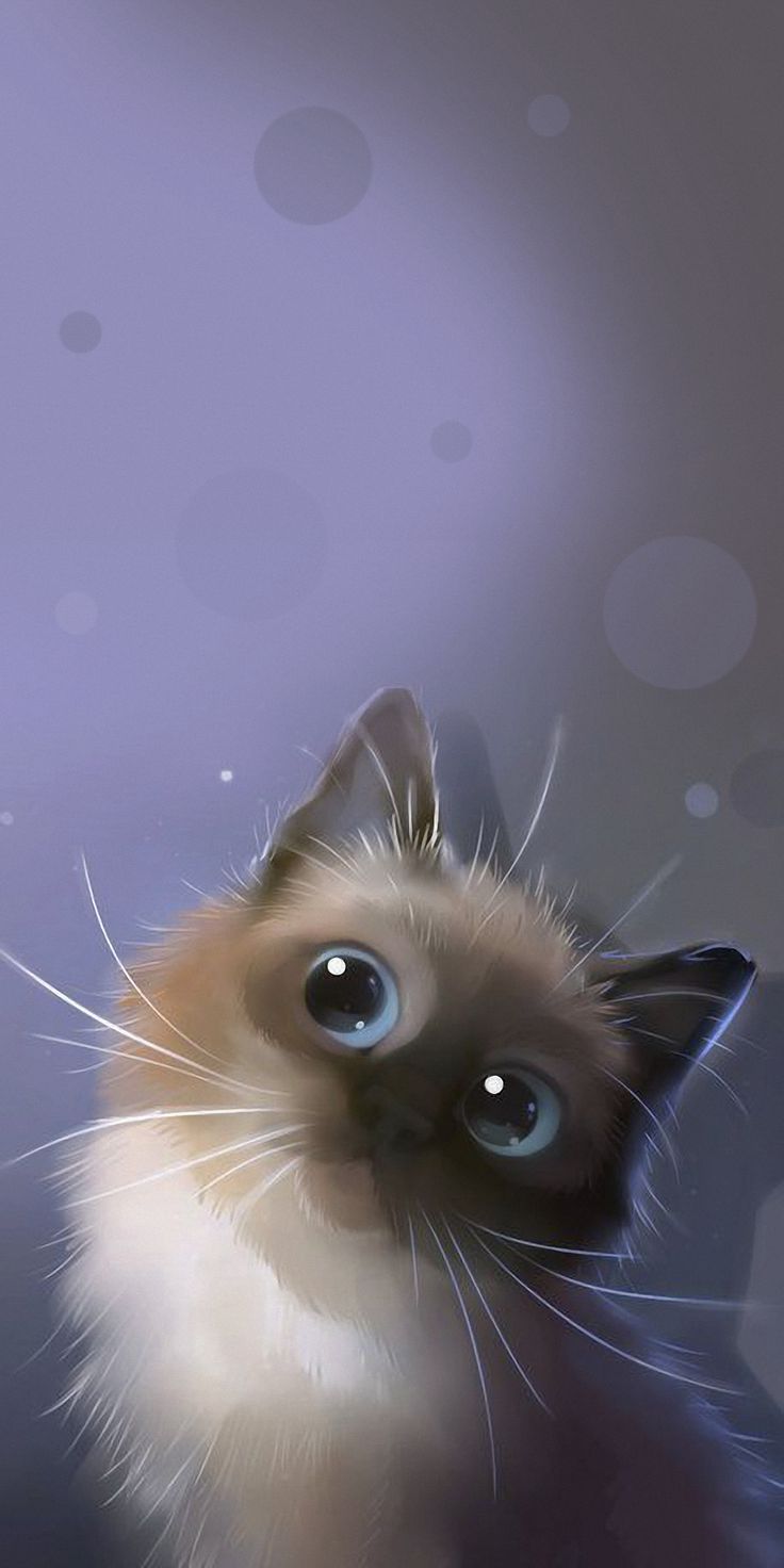 Cat phone wallpaper, Cat wallpaper, Cat art