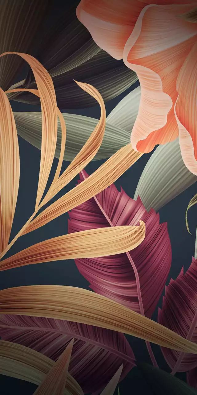 Popular Phone Wallpapers Wallpaper Cave