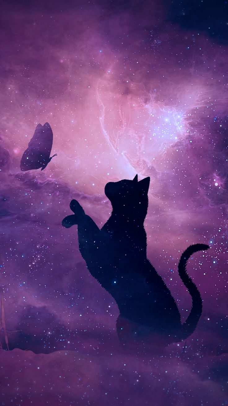 cat anime, Cat background