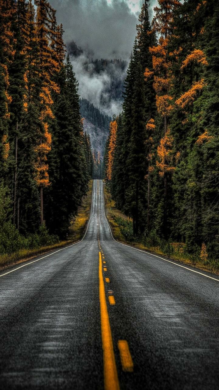 Popular Phone Wallpapers - Wallpaper Cave