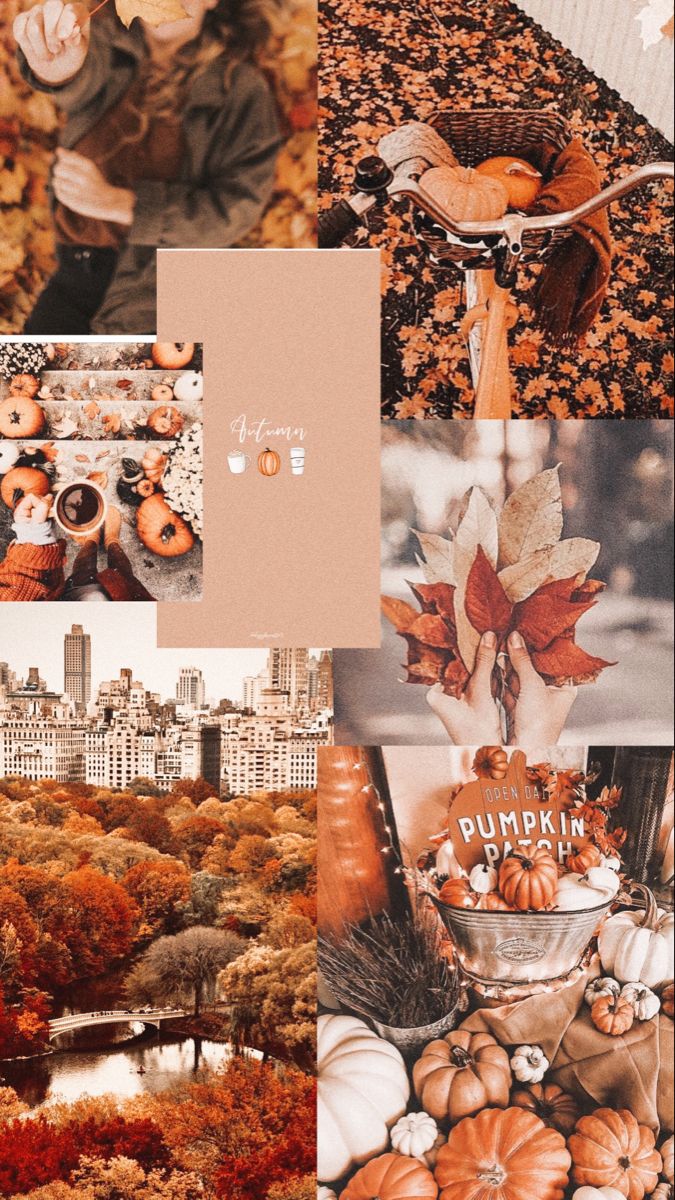 Fall Collage iPhone Wallpapers - Wallpaper Cave