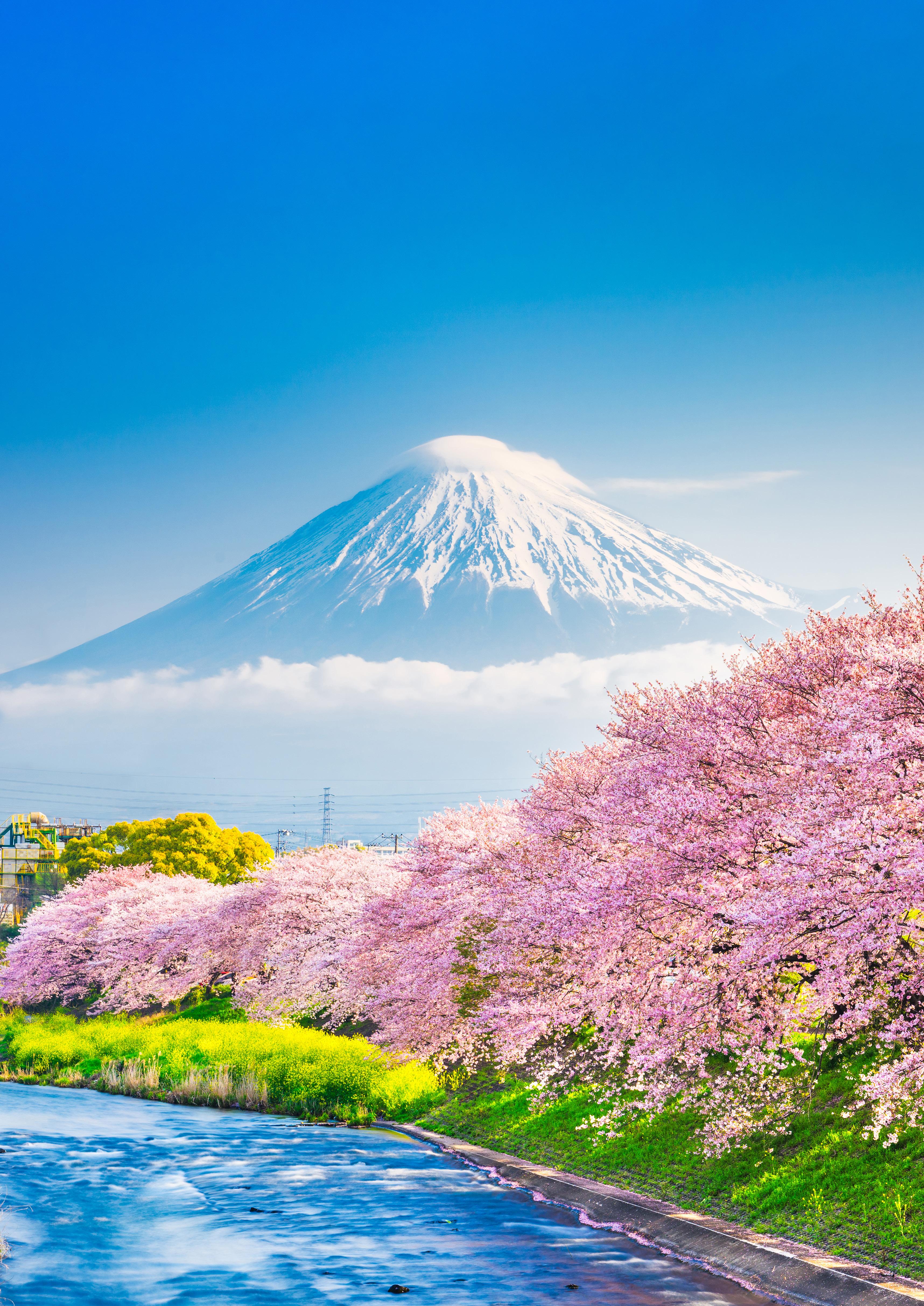 Japan Brochure 2024 2025
