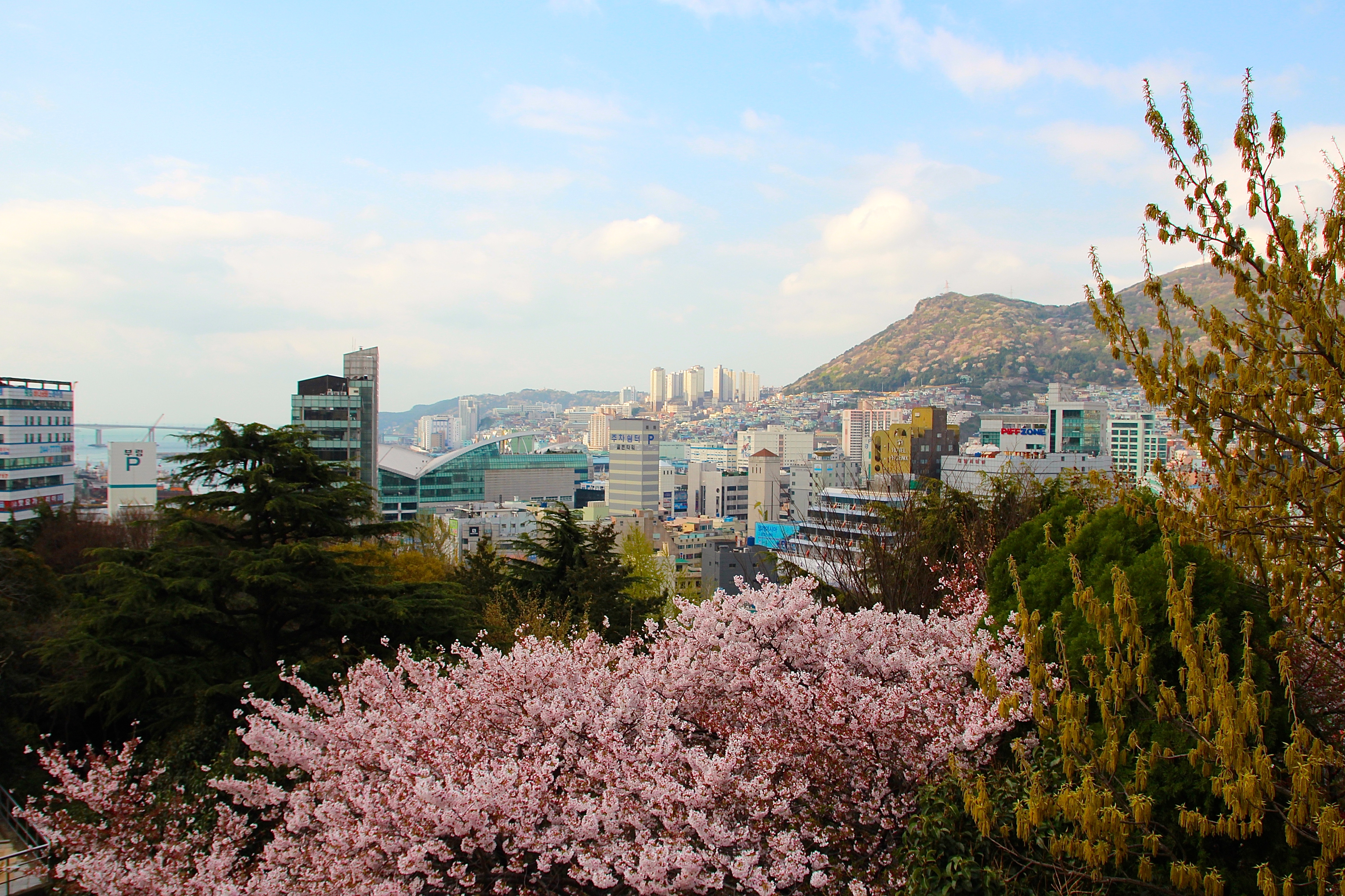 Busan