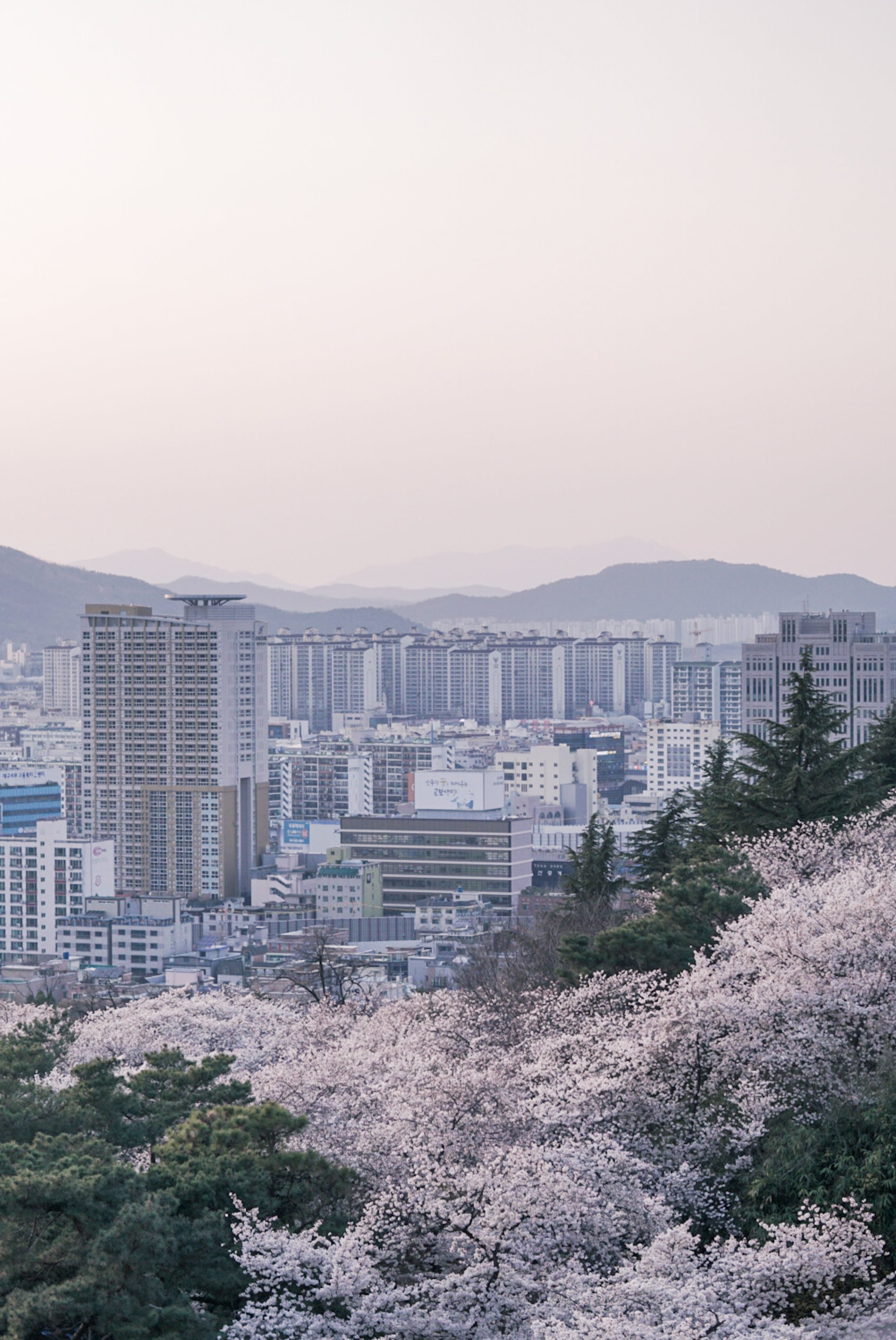 Seoul at Night · Free