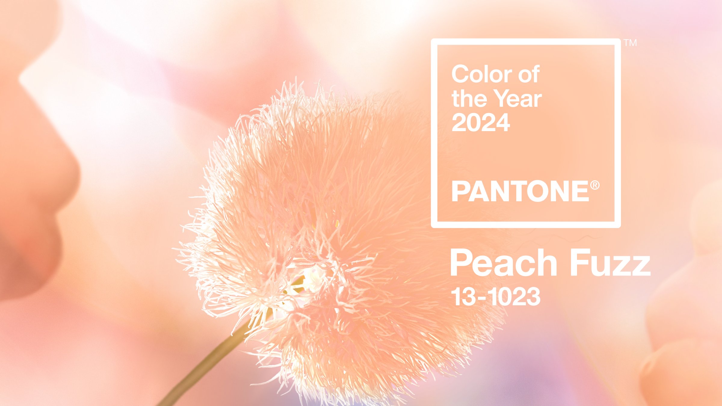 The Pantone Color of the Year 2024
