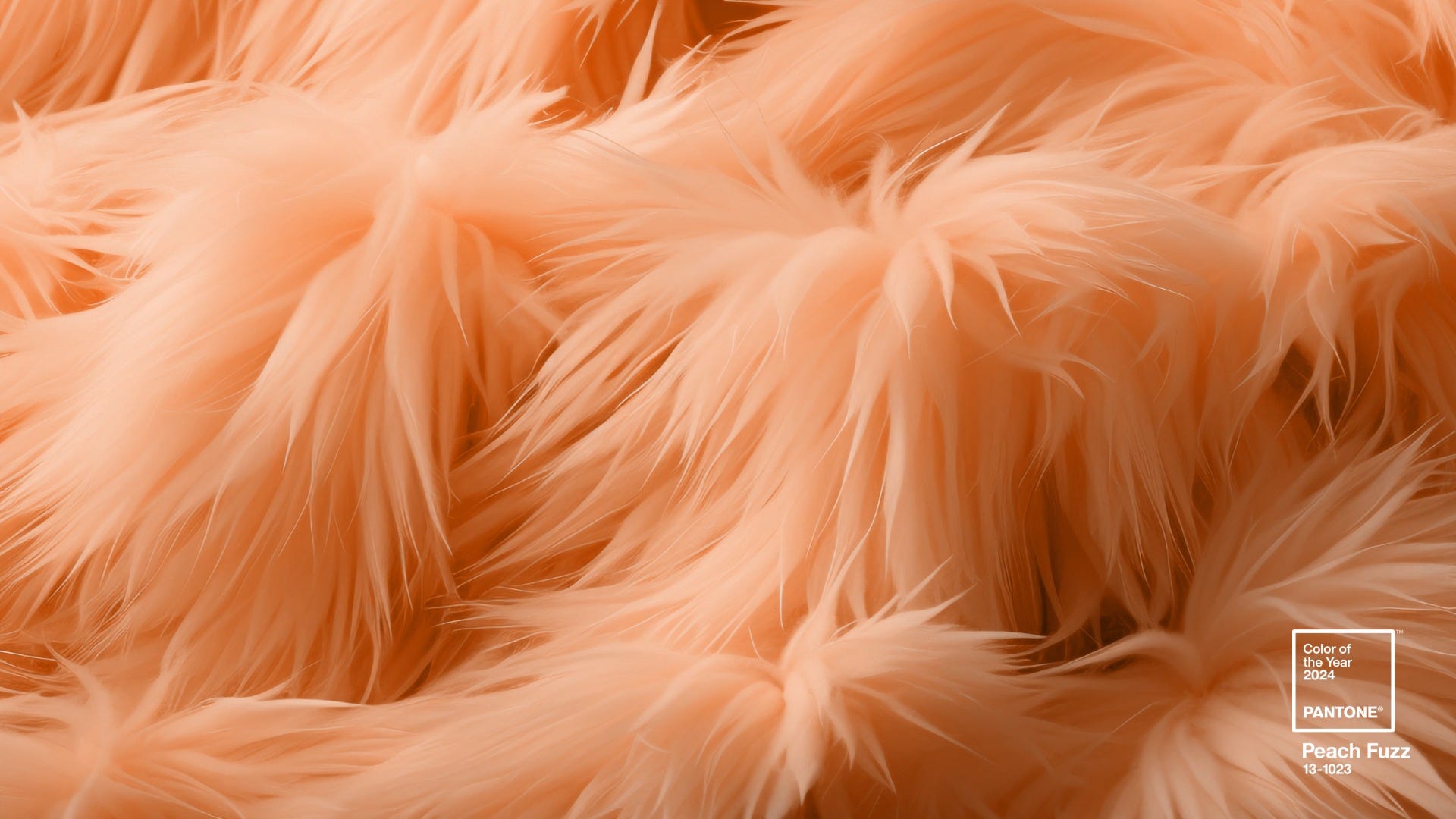 Peach Fuzz: Pantone Color of the Year