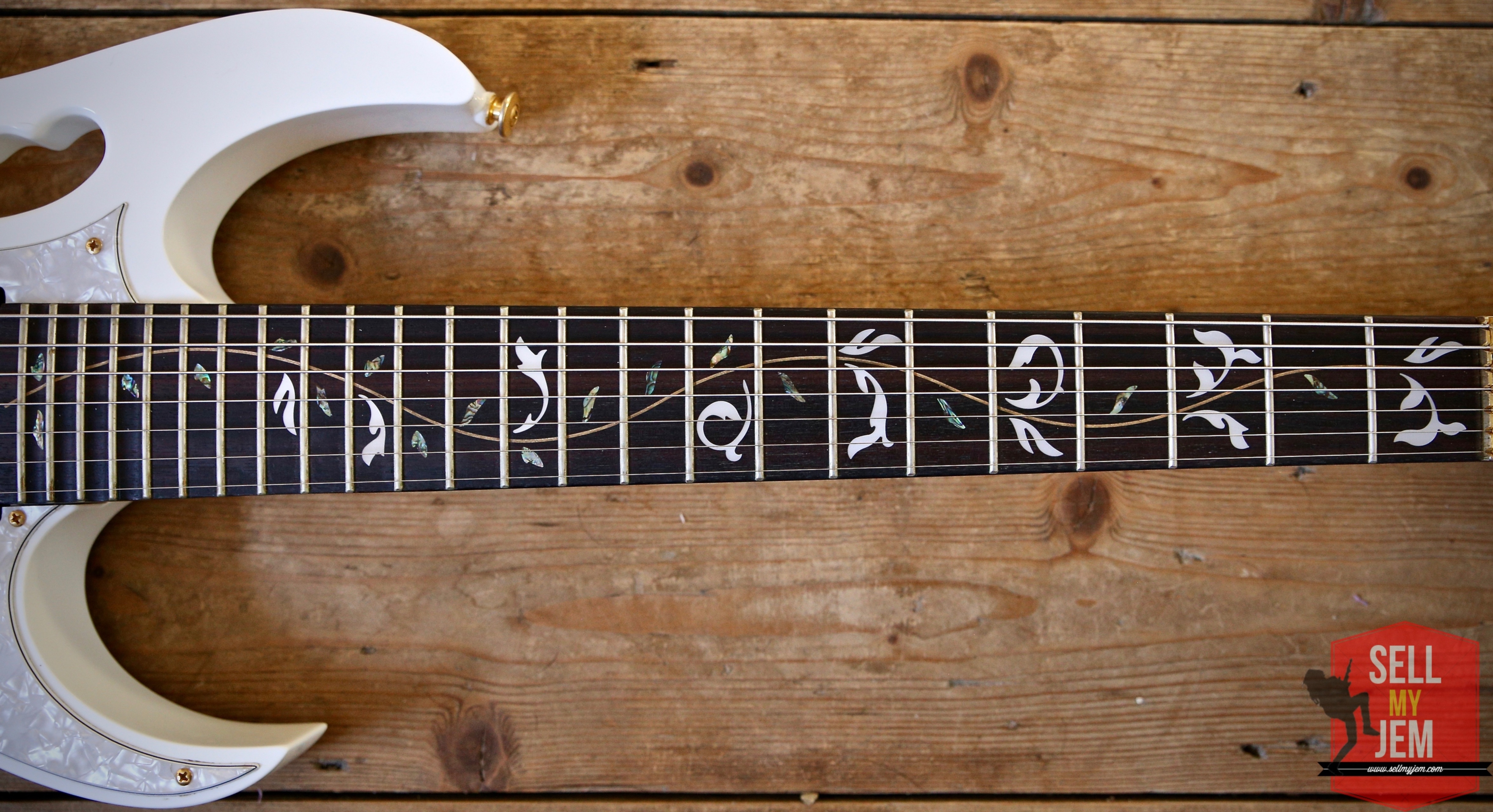 Ibanez Jem 7V7 7 String Monster Guitar