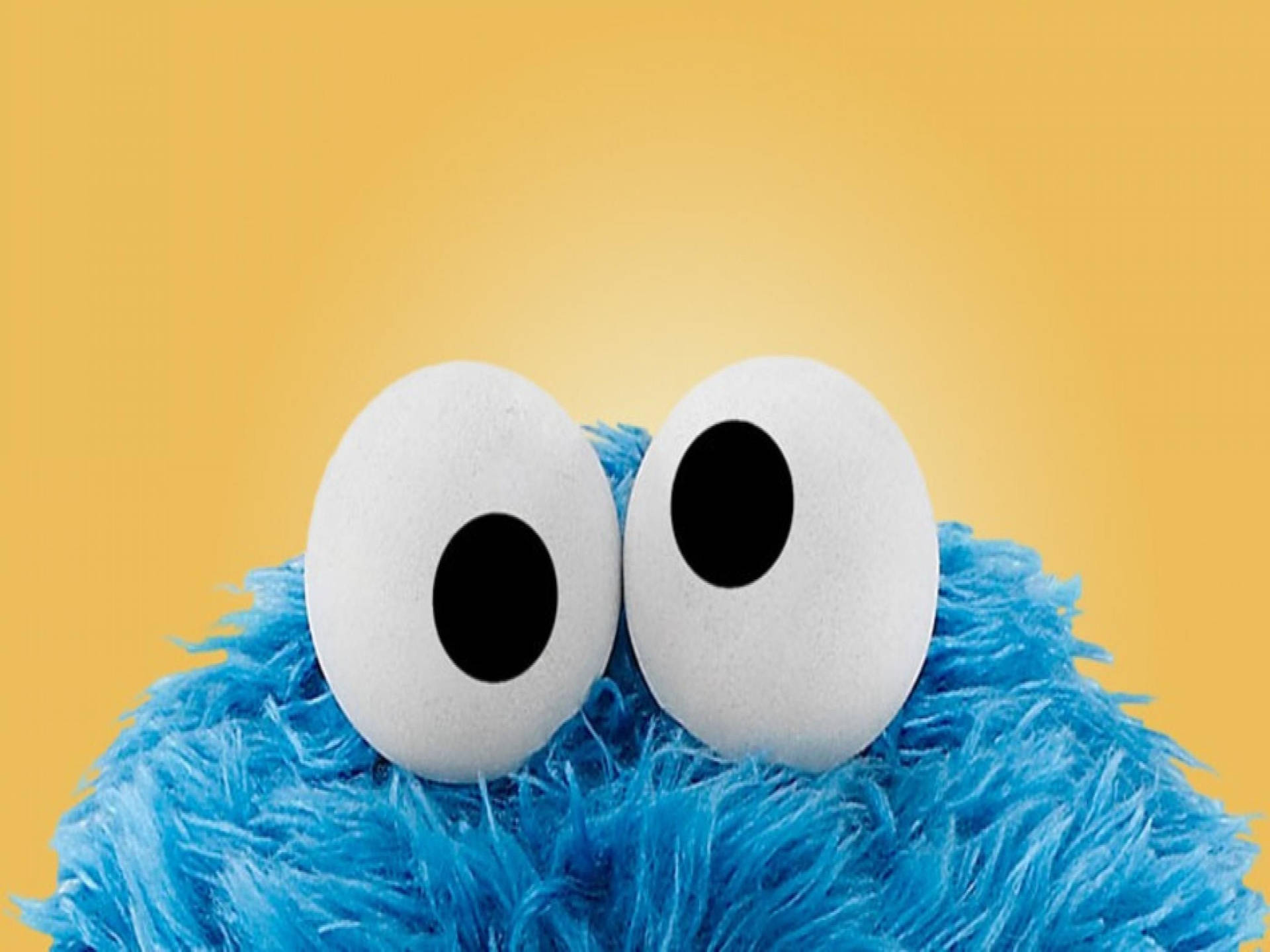 Cookie Monster Wallpaper