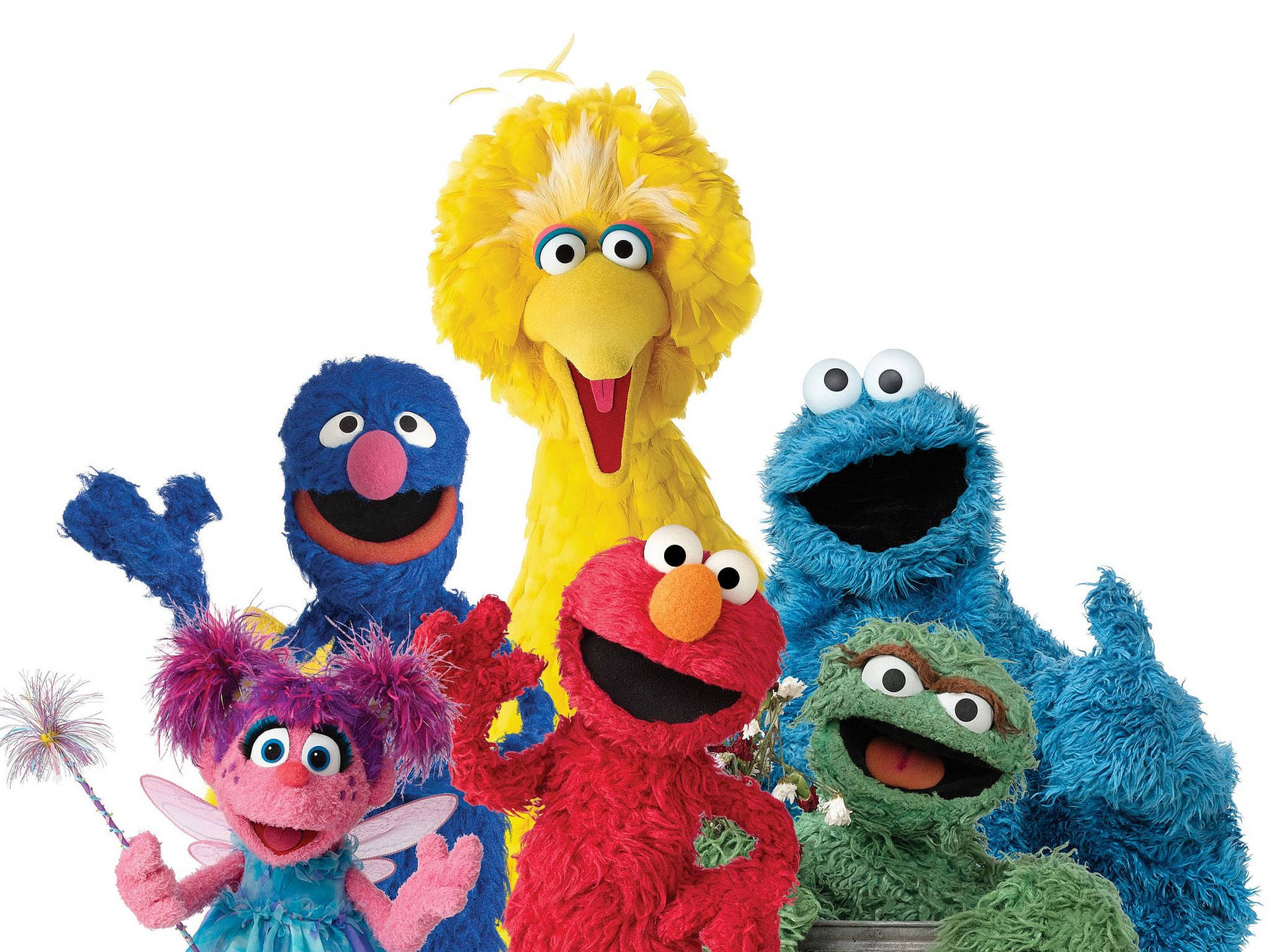 Download Elmo And His Friends Wallpaper