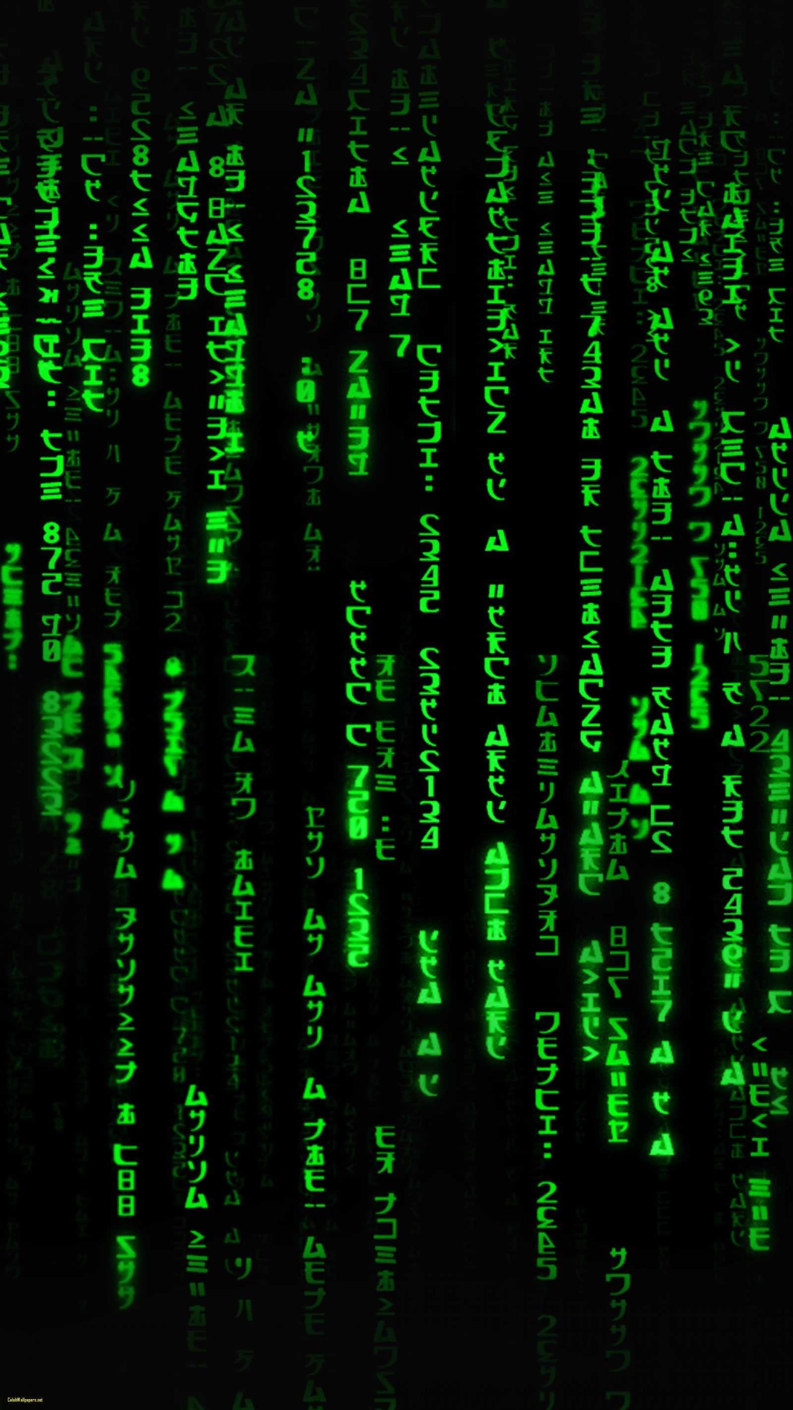 The Matrix Wallpaper Download