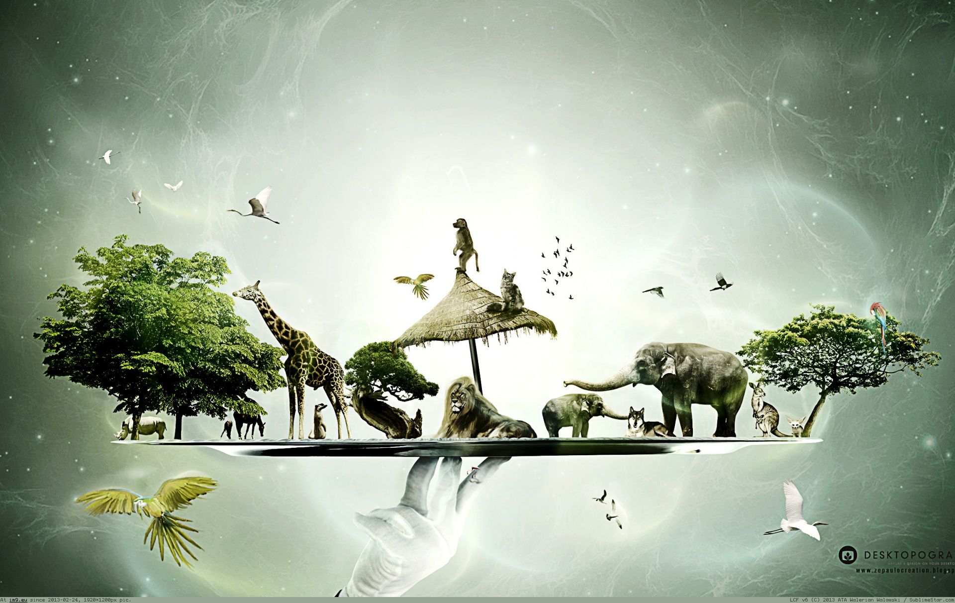 Pic. #Wallpaper #Desktopography