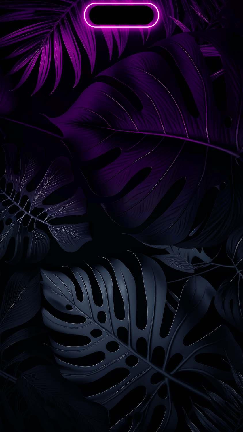 IPhone 15 Amoled Free 4K Wallpaper