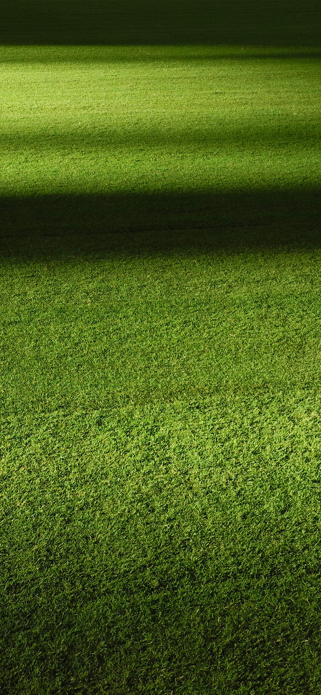 Field Green Night Grass Pattern