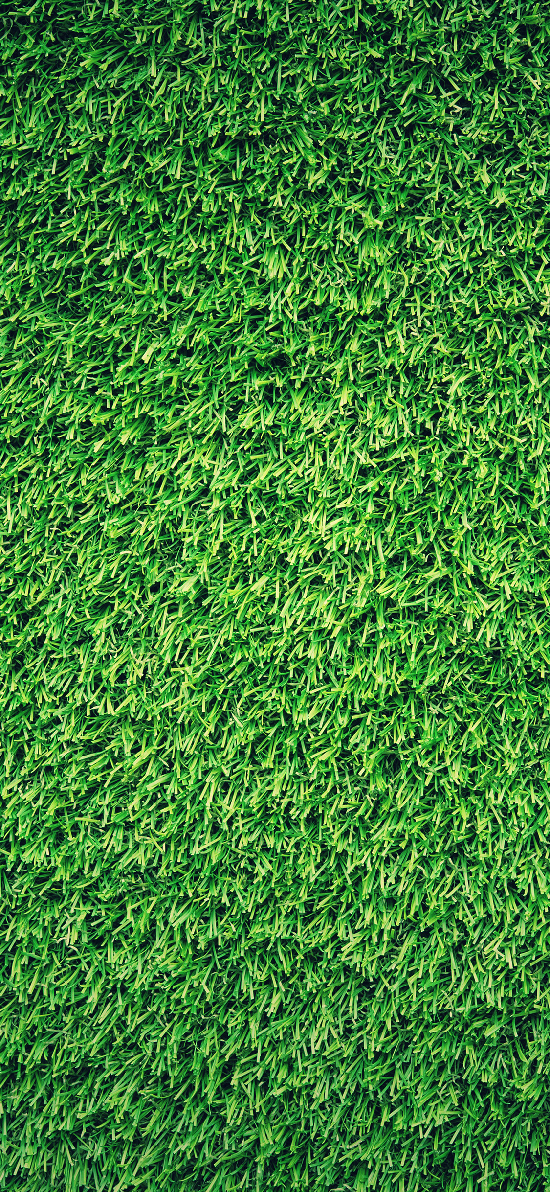 Grass Green Pattern Nature
