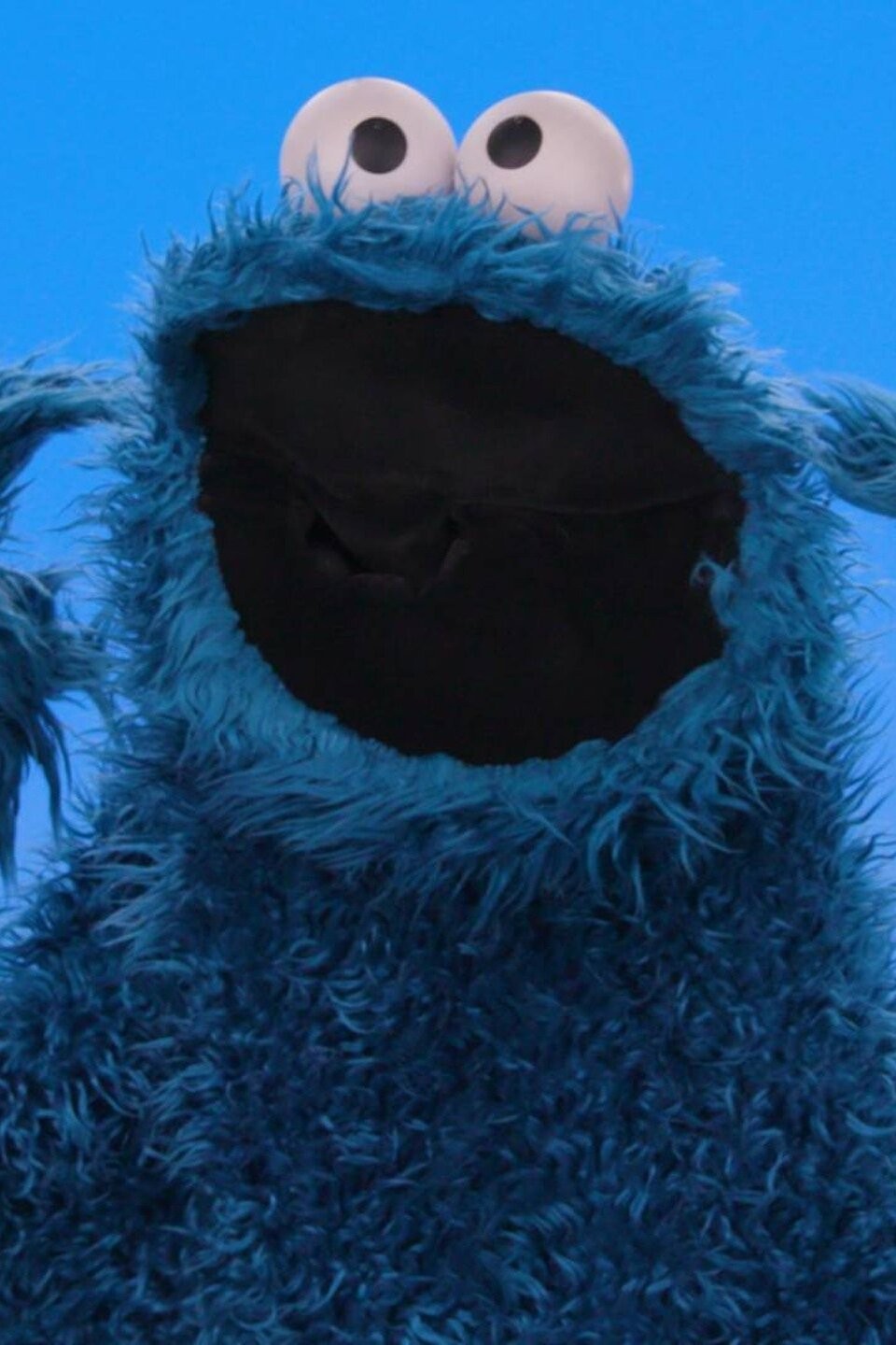 My Cookie Monster: Body Parts Picture