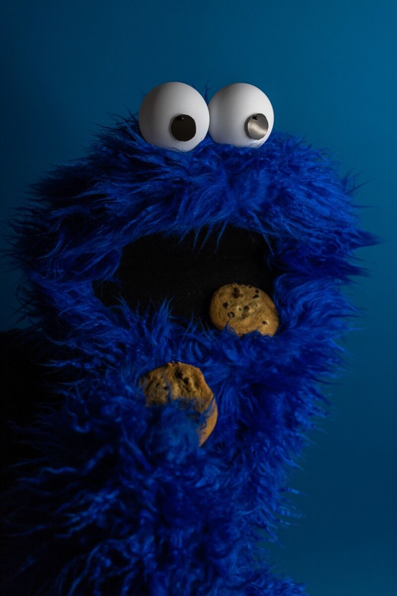 Cookie monster hand puppet