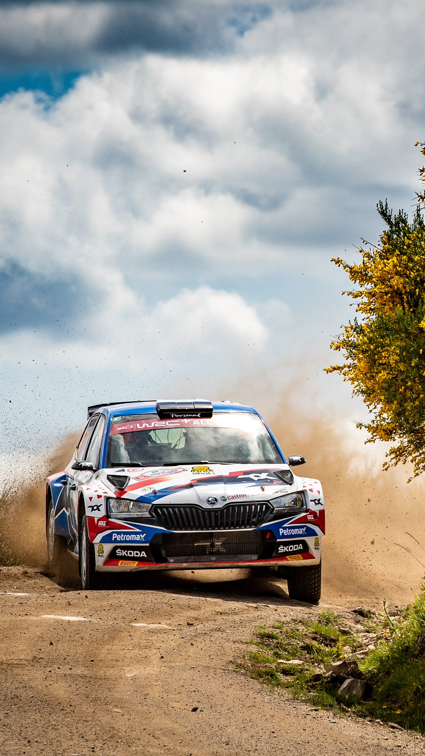 Download Rally de Portugal Wallpaper