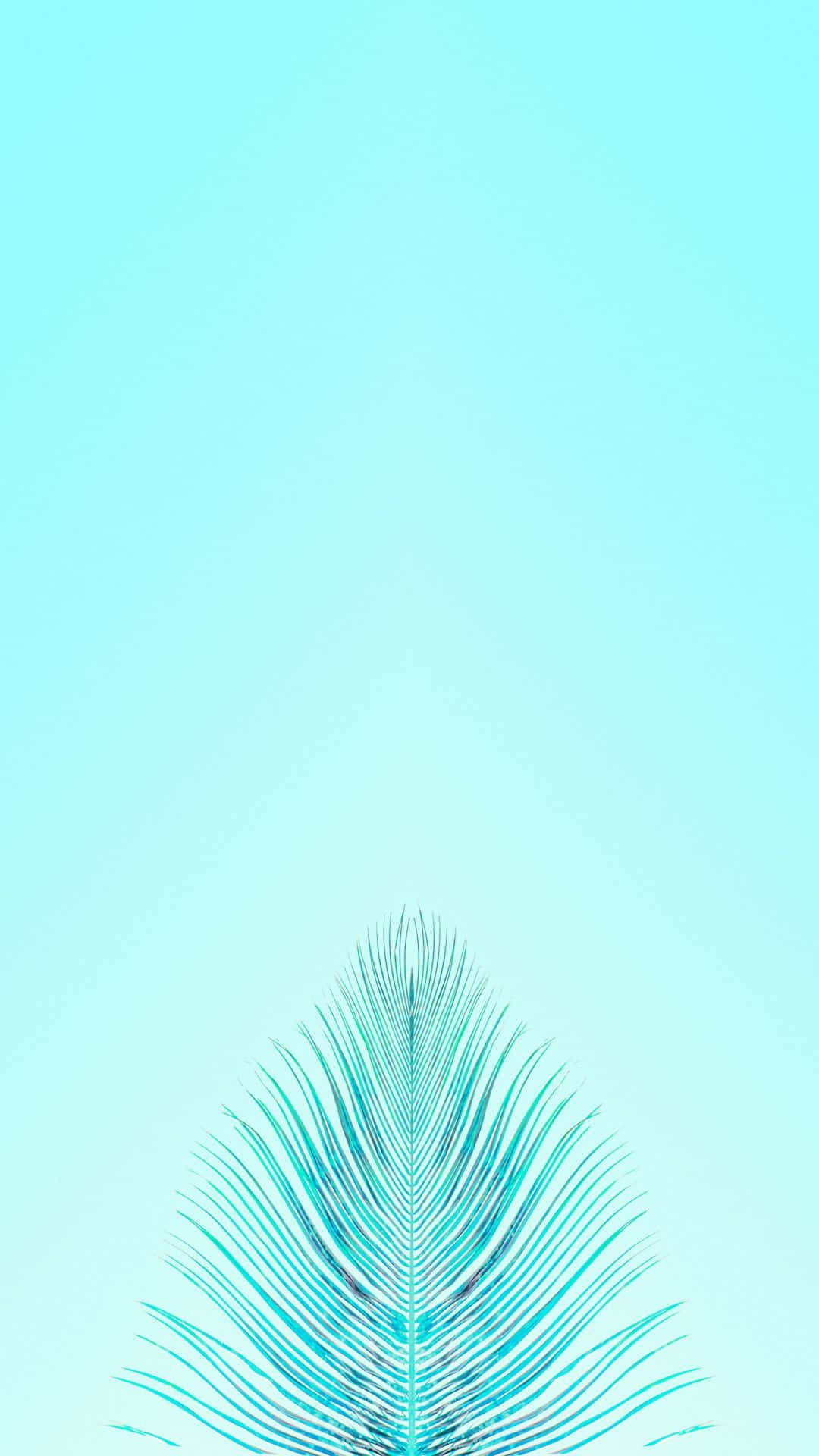 Turquoise iPhone Wallpaper