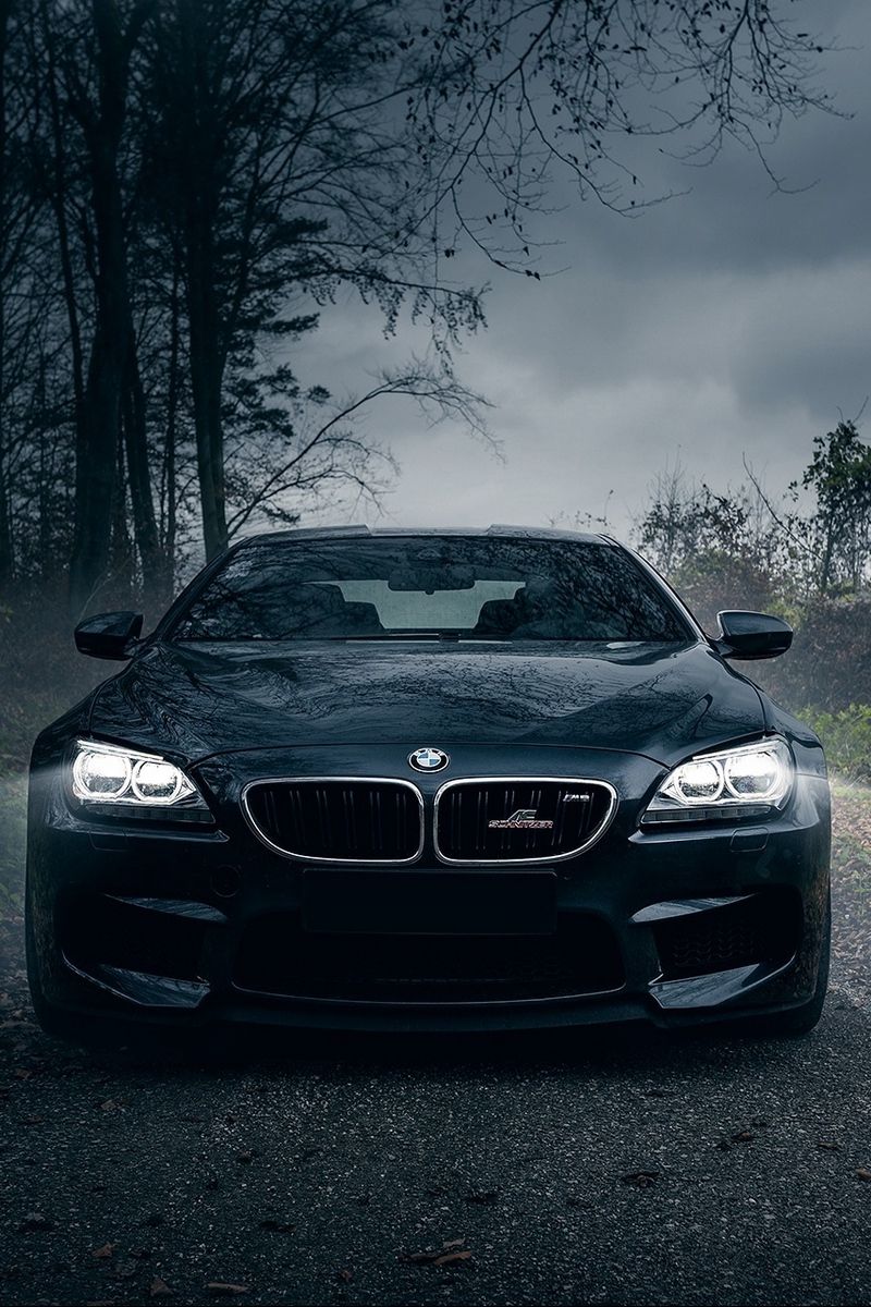Bmw m6, black, forest, fog, front. Bmw
