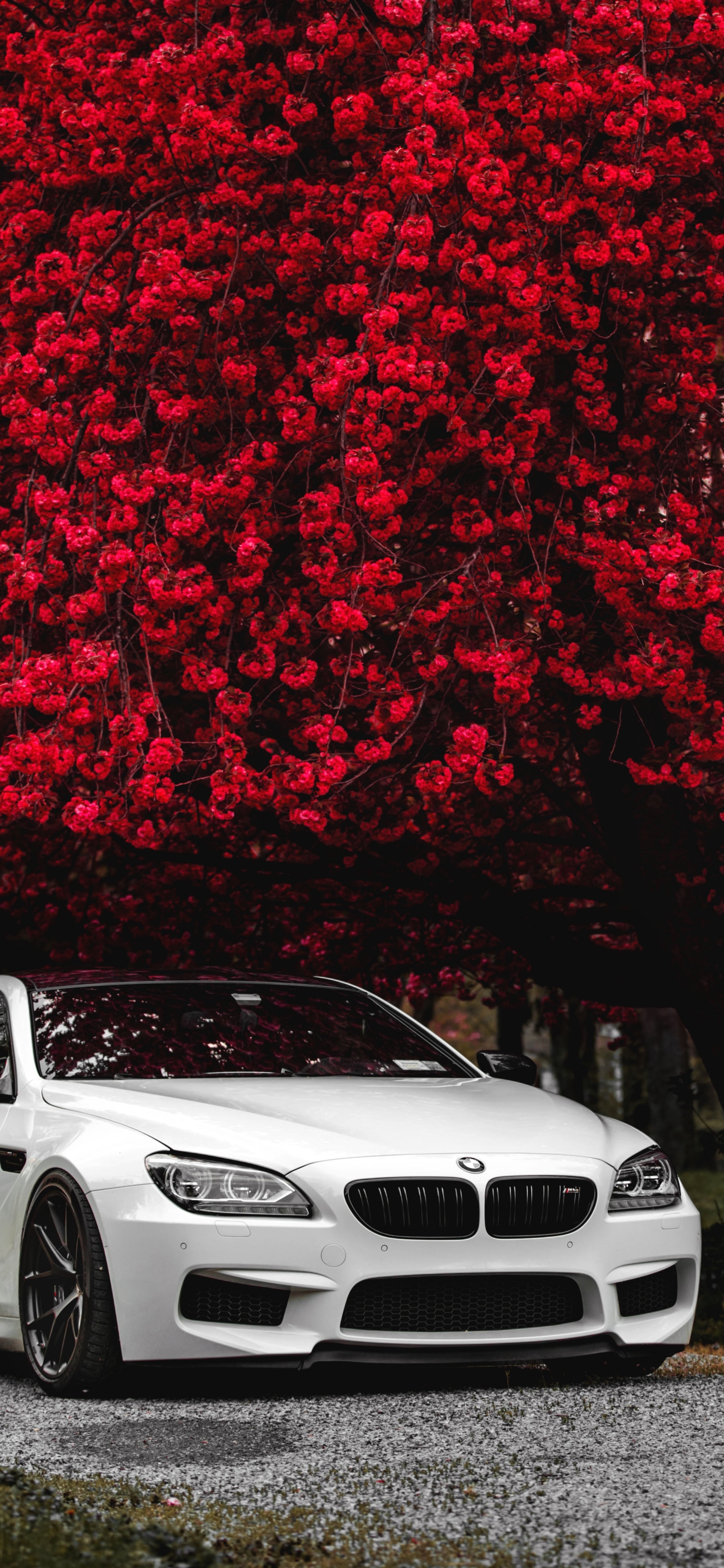 BMW M6 iPhone Wallpaper