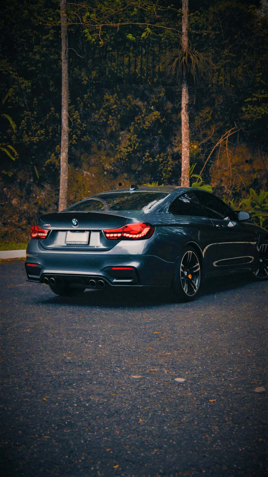 Download Bmw M6 Wallpaper