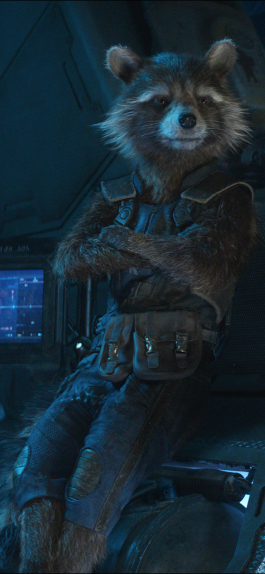 Rocket Raccoon In Avengers