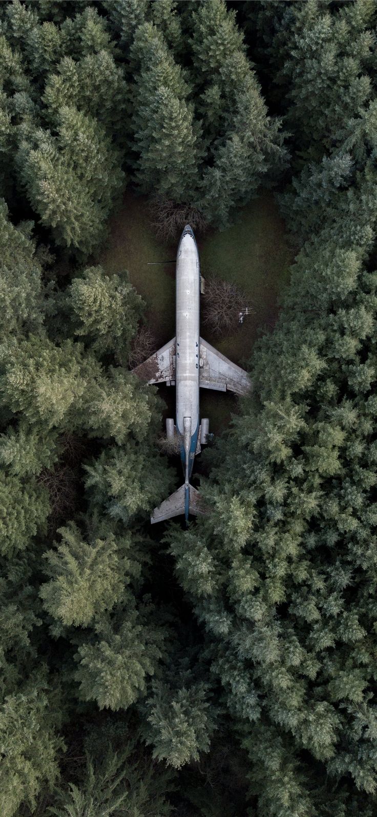 aerial photography of gray airplane