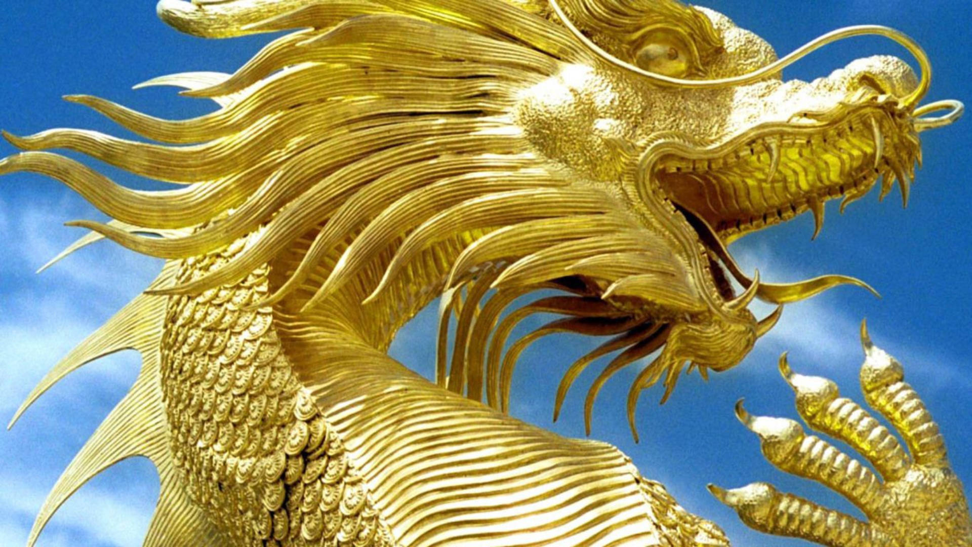 Golden Dragon Wallpaper