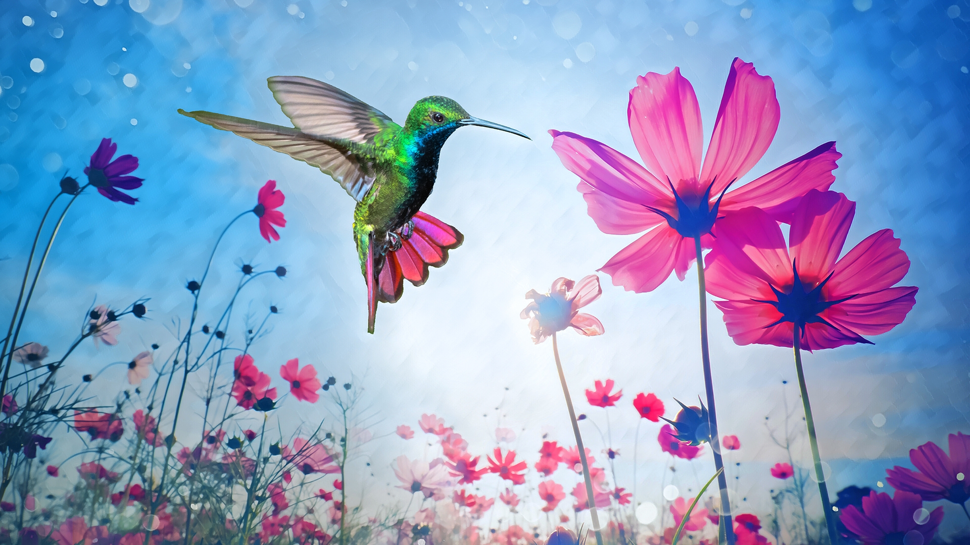 What's new in Photohop Elements 2024