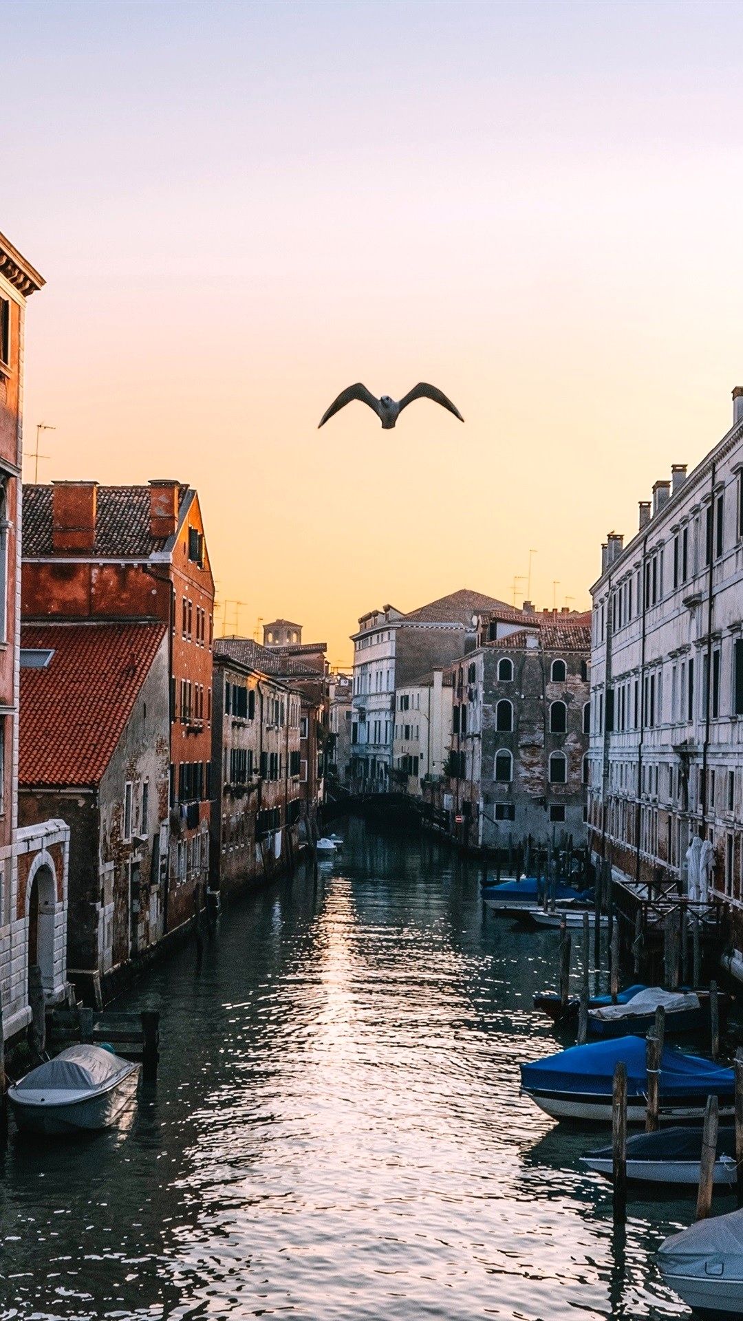 Venice Wallpaper 4K iPhone Ideas