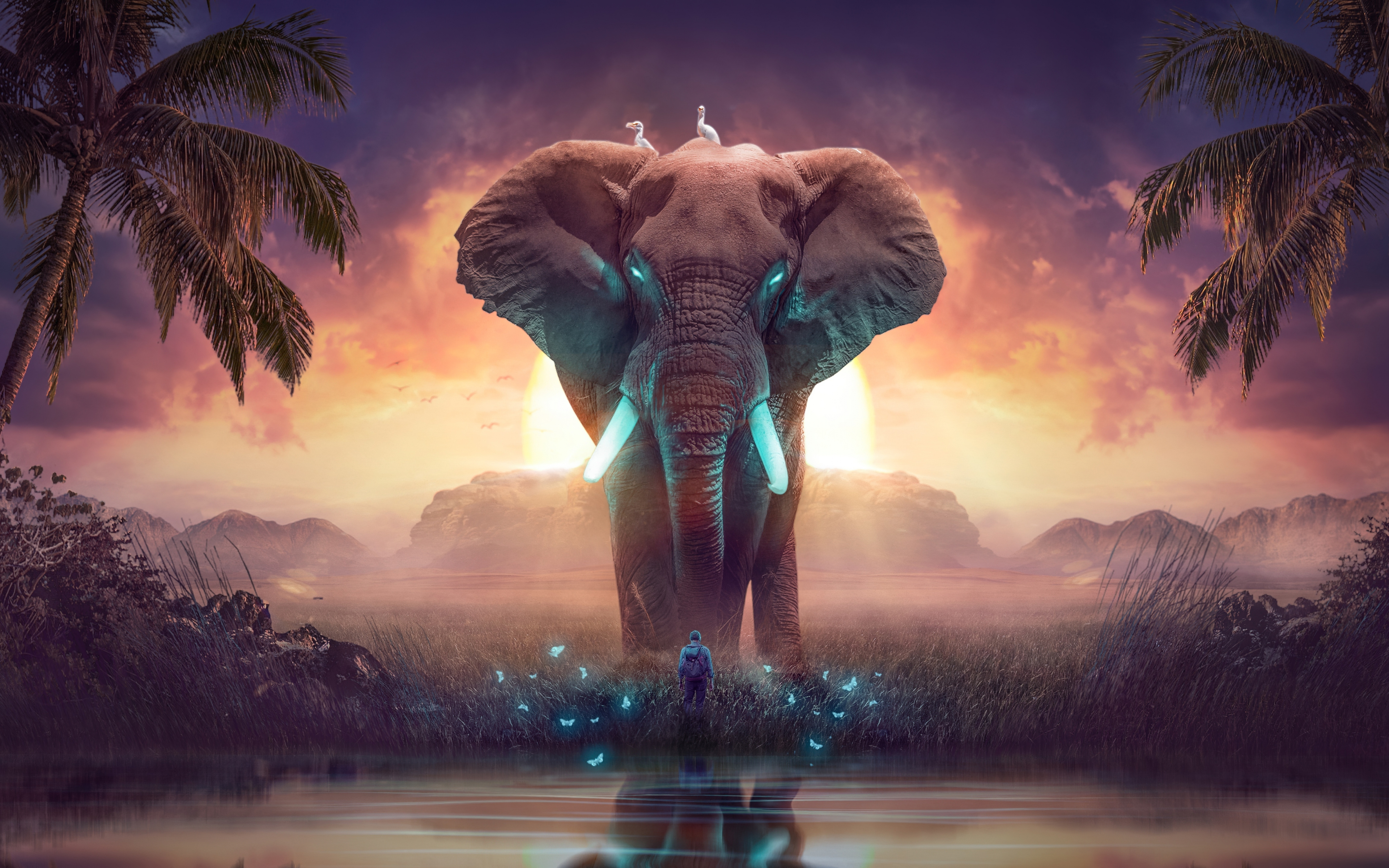 wallpaper 3840x2400 the elephant