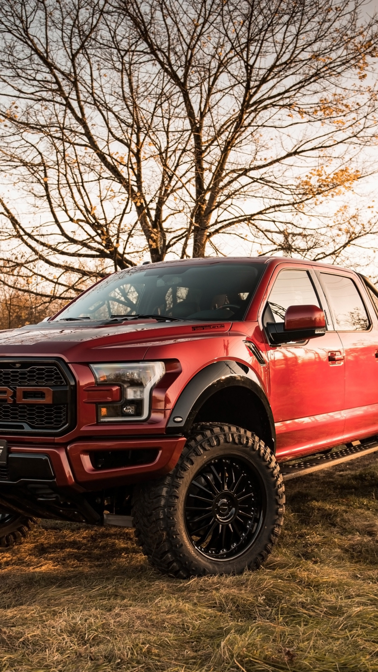 Download Wallpaper 750x1334 Ford F 150