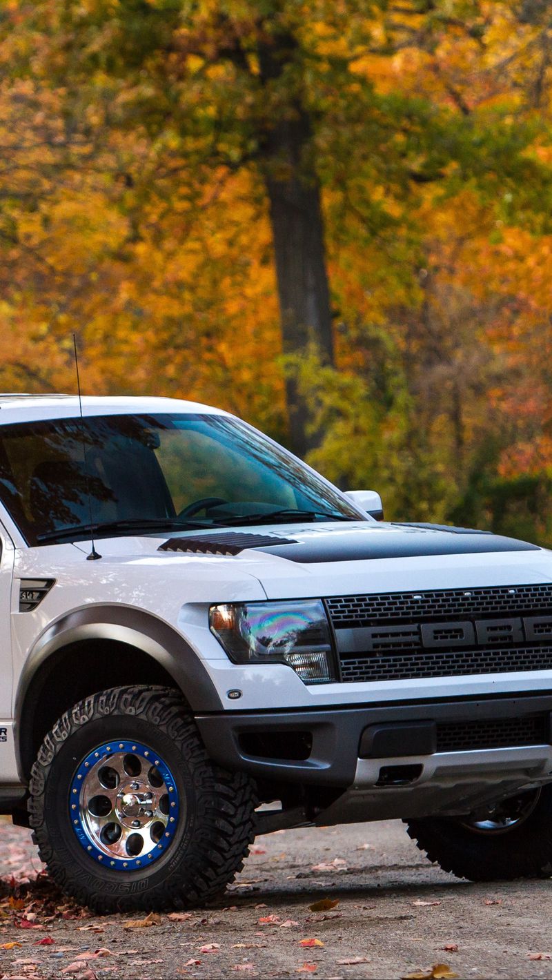 Download Wallpaper 800x1420 Ford, F 150