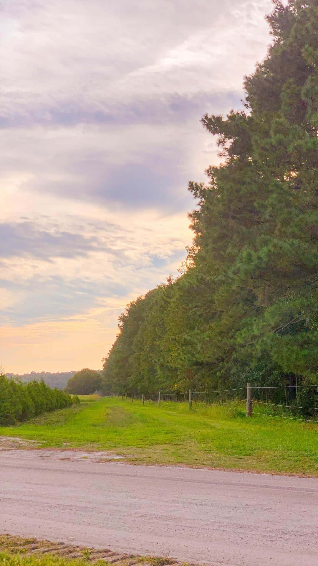 Autumn iPhone Wallpaper Background