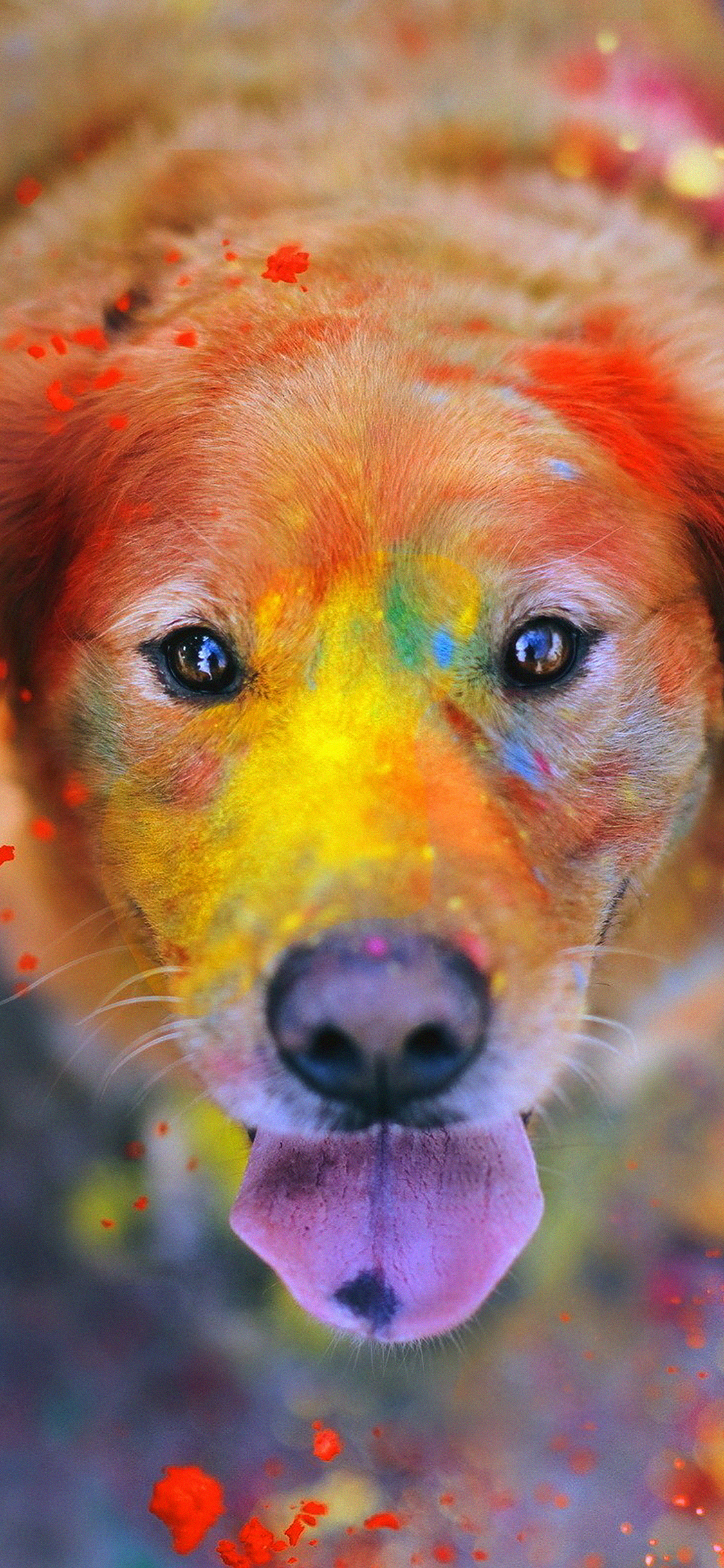 Dog Smile Fall Leaves Art Nature