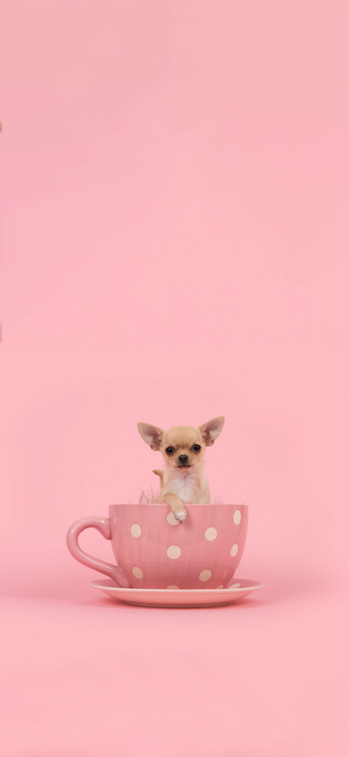 HD Girly iPhone Wallpaper