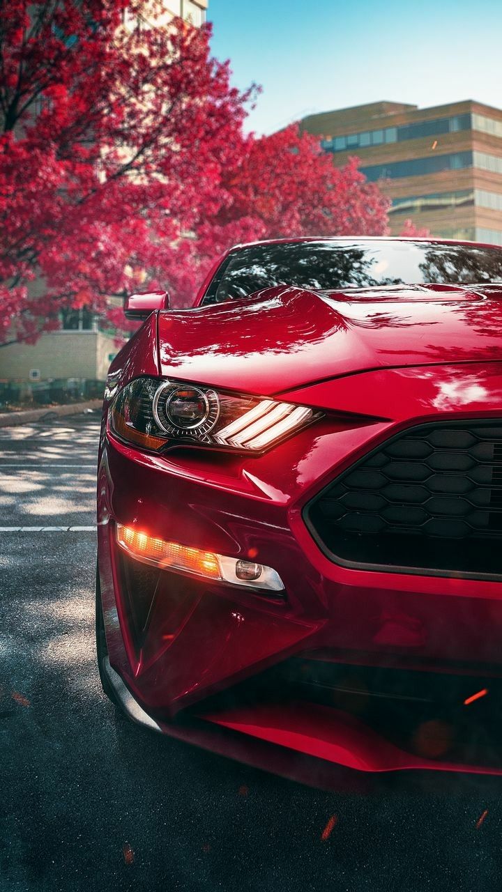 BEST MUSTANG WALLPAPERS!. Red mustang