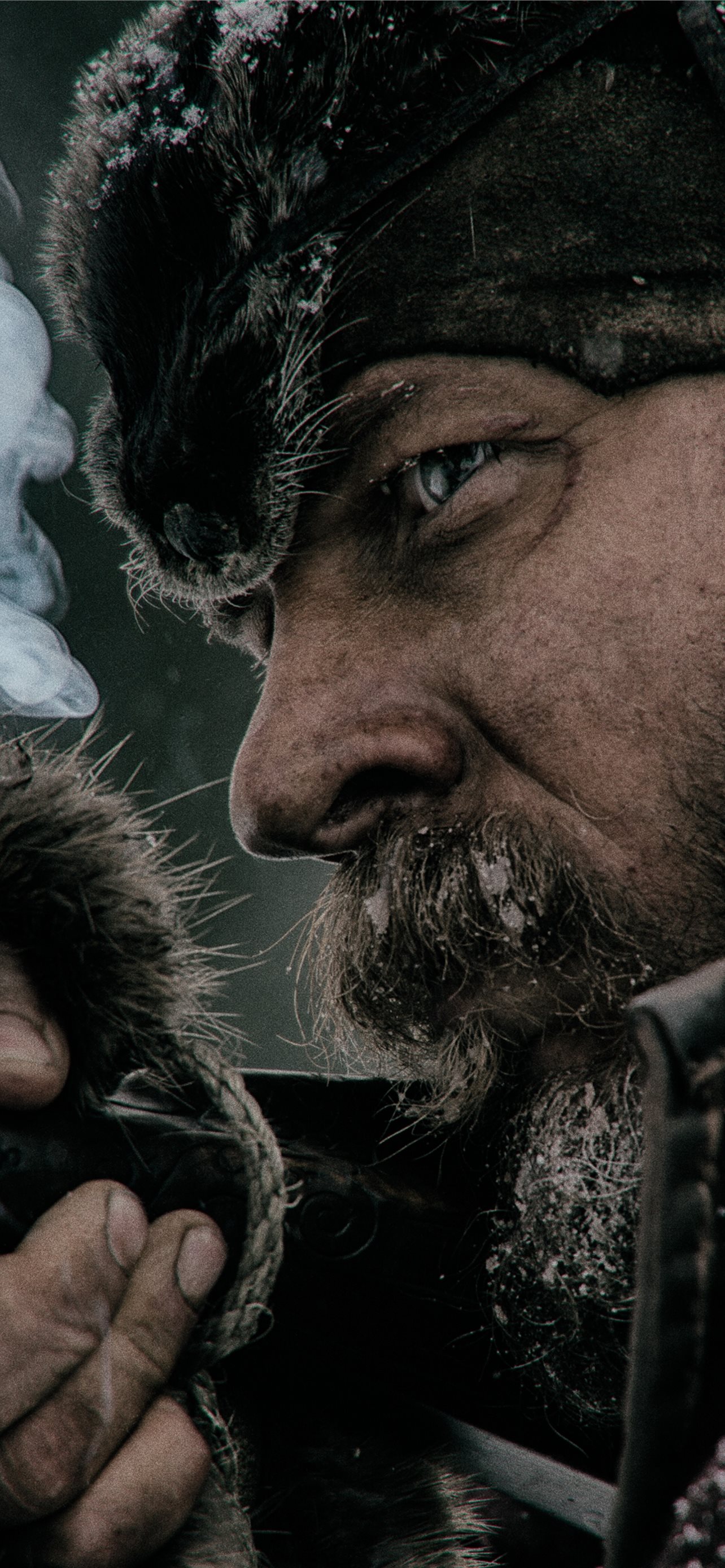 Revenant Imdb Tom Hardy teahub io