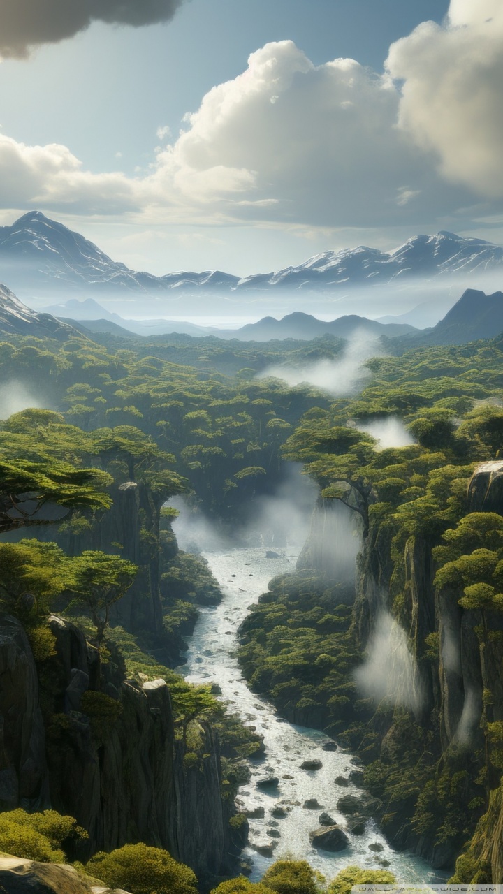 Hiking, Mountain, Forest, Landscape