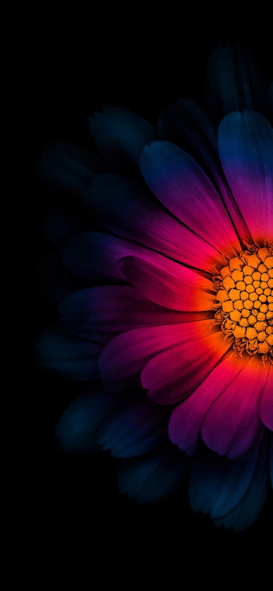 iPhone12 #iPhone13 #iOS15 #Lockscreen