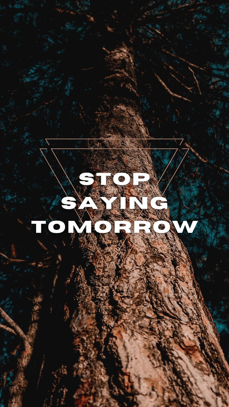 Beach Phone Wallpaper Online