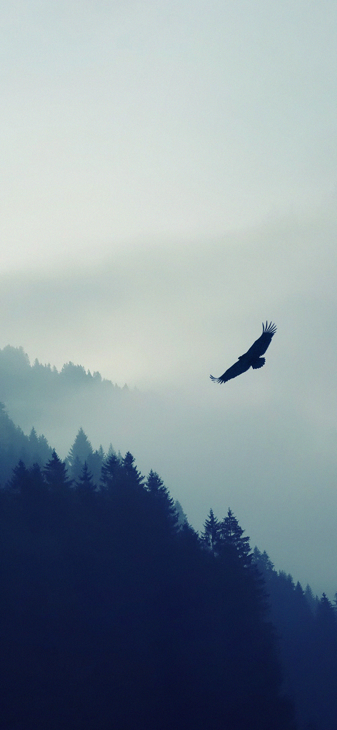 iPhoneXpapers mountain fly