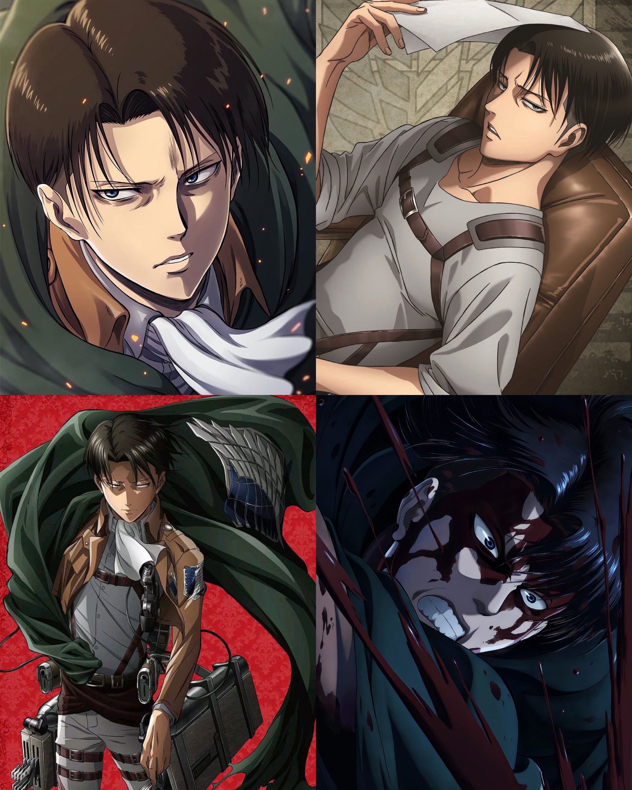 levi content ackerman + wit