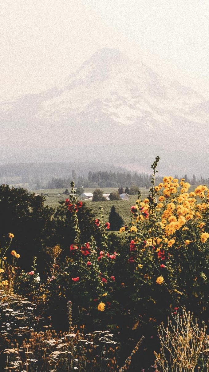 Relaxing Nature Mobile Wallpaper